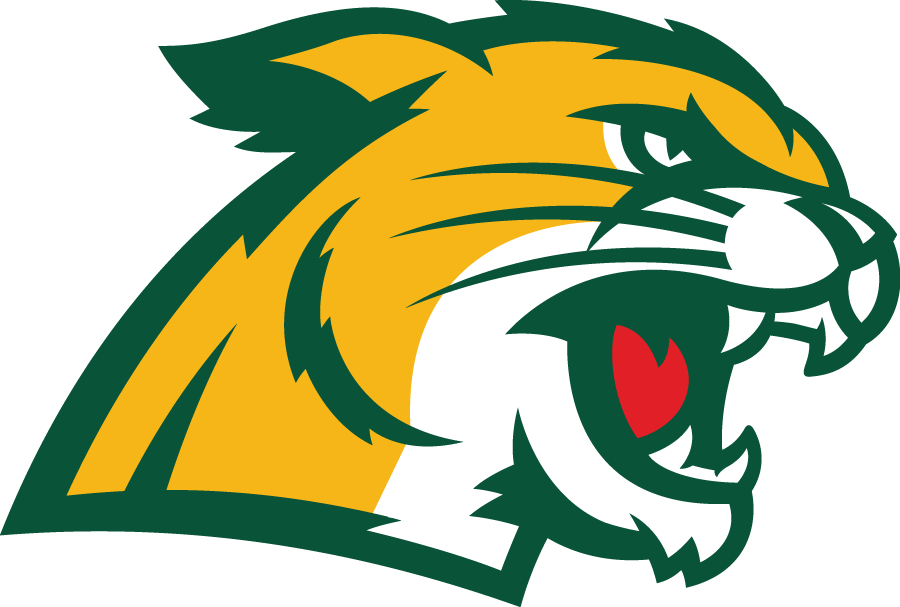 Northern Michigan Wildcats 2016-Pres Secondary Logo 01 iron on paper